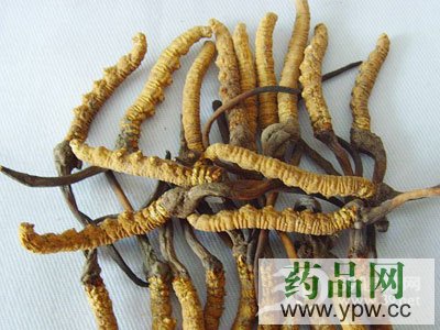 �����n�б���?zh��n)��x��