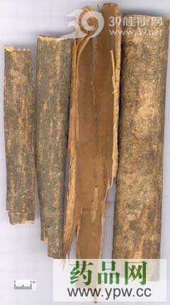 10�NƤ���ˎ�ĺ����R�e