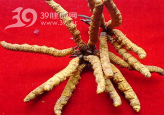 小心選購(gòu)冬蟲(chóng)夏草